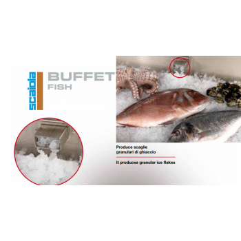 CARRELLO ESPOSITORE PER PESCE BUFFET FISH SELF SERVICE B/T