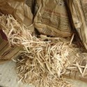 TRUCIOLI DI LEGNO PER AFFUMICATURA BUSTE DA 1KG